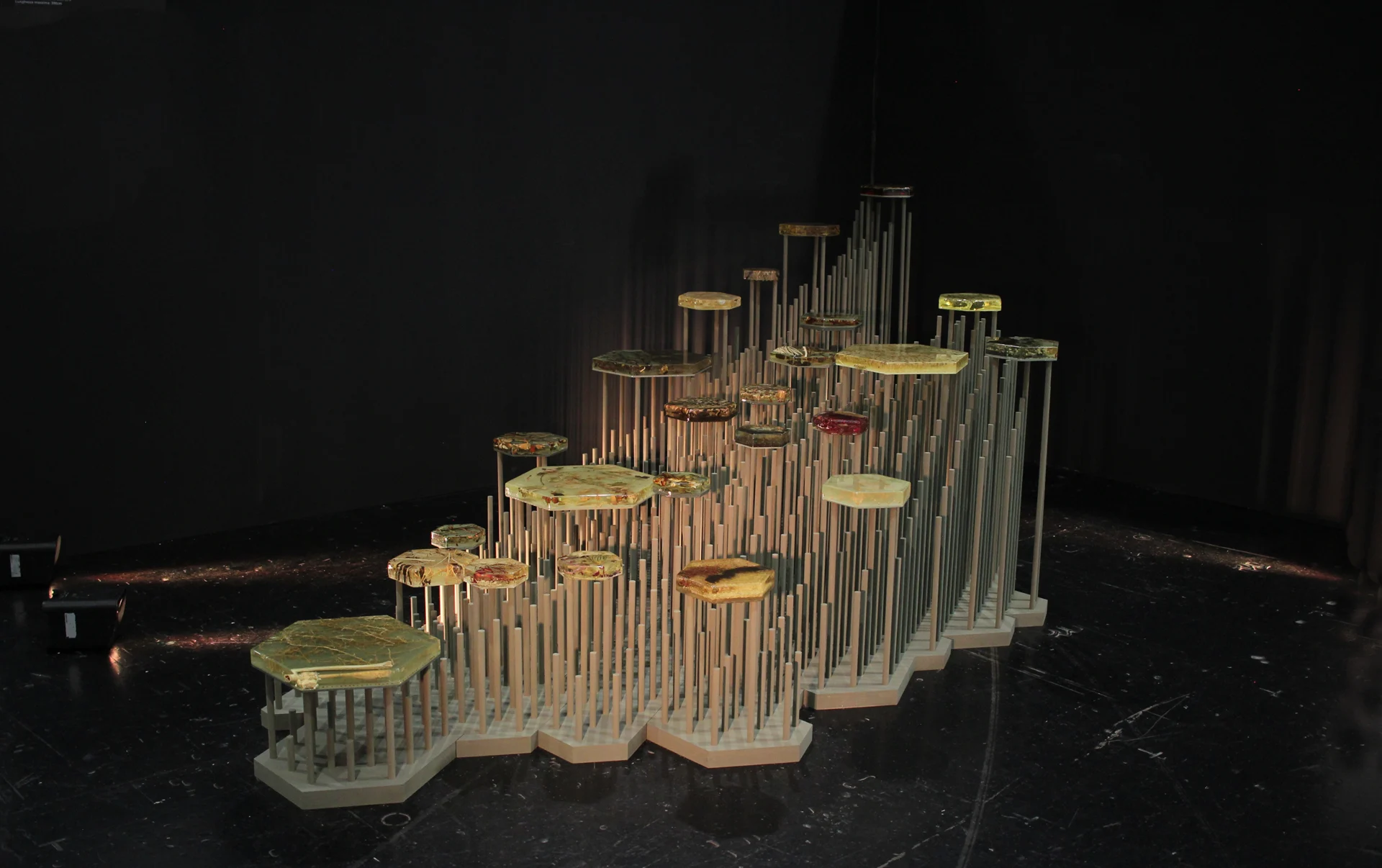 (COPERTINA) Chiara Zucchi_IN SILVA_@catherineleo 4