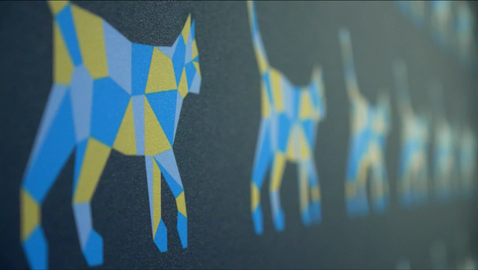 chiara-zucchi-banner-logo-effe-erre